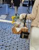 PICTURES/Prague, Czech Republic/t_Easter Basket1.jpg